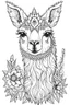 Placeholder: portrait of Llama and background fill with flowers on white paper with black outline only, style mandala