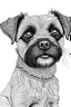 Placeholder: line drawing of a border terrier
