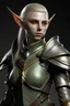 Placeholder: realistic female elf wearing armor