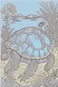 Placeholder: coloring book page of a magical turtle, monochrome, black and white, sharp, sketch drawing