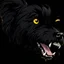 Placeholder: an angry scruffy black terrier on black background, yellow eyes, illustration