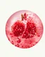 Placeholder: pomegranate seeds are scattered on a white background