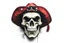 Placeholder: front facing skull (angry, wearing a wide confederate hat), airbrush on white background'
