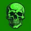 Placeholder: skull drawn with only green