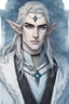 Placeholder: a young high elf frost Sorcerer with long wiry hair and blue ice across his face like a scar, wearing a light and white velvet crop top with black edges, frost ornaments on clothes