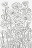 Placeholder: flowers coloring page for kids, touch me not, cartoon style, thick outline, low details, no shading, no color