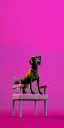 Placeholder: Snoop dogg, sitting. a chair. pink houses, pink sky, pink smoke, trees, outdoors. Groove street. 28mm