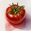 Placeholder: top view of a single tomato in watercolors on a white background