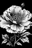Placeholder: Ambrosia flower BLACK WITHE DRAWING