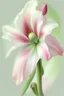 Placeholder: Amaryllis pastel color painting