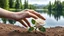 Placeholder: a young woman's perfect hand planted a white rose stem in the ground, in the background a lake, some green trees, ultra detailed, sharp focus, perfect hands with five fingers, perfect photo