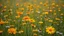 Placeholder: pretty wildflowers in the fields, orange and yellow and blue, 8k, high quality, trending art, trending on artstation, sharp focus, studio photo, intricate details, highly detailed, by tim burton