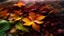 Placeholder: Theme Autumn. Triple exposure. Bottom layer is a misty view of an autumnal forest, leaves changing colour, fallen leaves on the ground. Second layer shows chestnuts, acorns, berries from a closer viewpoint. Top layer is almost transparent and shows a large perfect autumnal maple leaf. The whole image melds together into a commentary on the beauty of the autumn season in nature.