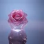 Placeholder: transparent crystal rose