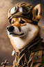 Placeholder: doge ww2 pilot, wearing goggles