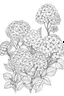 Placeholder: Outline art for coloring page, GARDEN OF HYDRANGEA FLOWERS, coloring page, white background, Sketch style, only use outline, clean line art, white background, no shadows, no shading, no color, clear