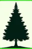 Placeholder: simplistic vector image of a spruce tree