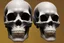 Placeholder: digital glitch skull by pontormo