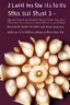 Placeholder: It will be a book cover: The soul's journey to become human: 12 shell teachings We will start with the 12 shells teaching. These shells are actually our weak points that weaken us in our experiences of being human. First we will learn and then we will explain practically how to get rid of these shells. Lack of love, Lack of compassion, Stinginess, Arrogance Hypocrisy, Deceitfulness, Greed, Vindictiveness Lying Jealousy Anger, Bigotry