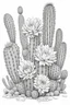 Placeholder: outline art for coloring pages with blooming cactuses, and a white background, only use an outline, no shadows, and clear and well-outlined