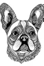 Placeholder: coloring book large Outline art, no shading, of a Frenchie dog, black and white, no shading, large doodle art in white background,