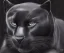 Placeholder: Fat black panther, photorealistic