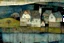 Placeholder: patchwork art by Jamie heiden, peter doig, Renoir, pol Ledent, endre penovac, Gustave Loiseau, Arthur Rackham, Doug Chinnery, Maud Lewis. inlay, watercolors and ink, beautiful, fantastic view, extremely detailed, intricate, best quality, highest definition, rich colours. intricate beautiful dynamic lighting award winning fantastic view ultra detailed 4K 3D high definition hdr