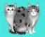 Placeholder: cat isolated illustration