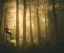 Placeholder: closeup of a young man floating in the air in the middle of the image in a misty forest in spring at sunrise with warm light rays, highly detailed, intricate, 8k, unreal engine, cinematic, vibrant, colorful, ultra high resolution