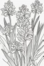 Placeholder: flowers coloring page for kids, hyacinth, cartoon style, thick outline, low details, no shading, no color