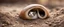 Placeholder: snail cat in burrow