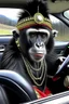 Placeholder: I am gypsy panda but i drive in Mercedes and next to me is monkey