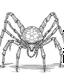 Placeholder: Cartoon outline, Goliath Bird-eating Spider little full body, coloring pages, no color, highly detailed, black and white, white background, highly detailed