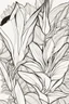 Placeholder: flowers coloring page for kids, bird of paradise, cartoon style, thick outline, low details, no shading, no color