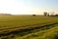 Placeholder: clearing next to an ideal farm field, sunny afternoon, product photo setting, mid-level horizon, taken from 15 feet up