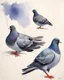 Placeholder: Pigeon. painting