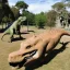 Placeholder: dinosaur park