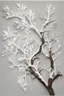 Placeholder: white branch art