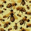 Placeholder: Grandpa and grandma healthy in a planet of honey stingless bee, realistic