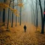 Placeholder: Award-winning fine art photography of a solitary figure walking through a magnificent autumn forest covered in golden leaves, soft atmospheric fog, cinematic lighting, emotional storytelling, rich color palette, captured with a Hasselblad medium format camera, museum-quality fine art print, masterpiece,, 64 k