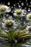 Placeholder: Purity transparency water splashing twisted with many littledandelions inside, photo, 8