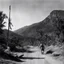Placeholder: The Treasure of the Sierra Madre. (1948)