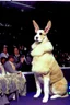 Placeholder: 1990 dog show the winner is a "half human rabbit combined animal::40", realistic (film Color Mission 200::10) photo from old disposable camera , grainy photo