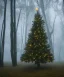 Placeholder: christmas tree in a misty swamp