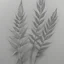 Placeholder: draw a pencil Sketch that potrays the pleasure and relaxation derived using elements like, weed leaves, soft textures, hazy, and gentle curves to evoke a sense of tranquillity and bliss.