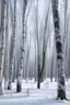 Placeholder: trees in the winter forest