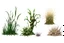 Placeholder: "Isolated concept art of multiple types of alien grass on a plain neutral background. Designed for different biomes: Forest biome – lush, dense, tall grass with strange broad blades, glowing tips, and twisted leaves. Swamp biome – slimy, wet, moss-like grass with tangled roots, bioluminescent details, and spongy textures. Desert biome – dry, spiky, brittle grass with sharp edges, thorn-like blades, and pale dusty colors. Each grass type should have a unique silhouette and texture.