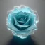 Placeholder: Crystal Rose