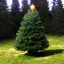 Placeholder: lonely christmas tree in alpine biome