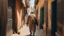 Placeholder: Rear view of an elderly Moroccan walking in a Moroccan alley